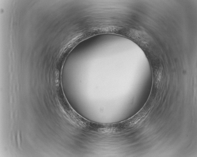 X0000059850356200511111817