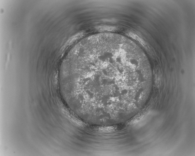 X0000059850357200511111817