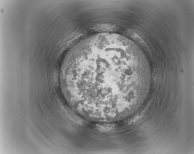 X0000059850359200511111817