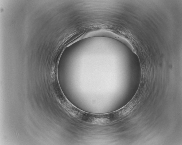 X0000059850360200511111817