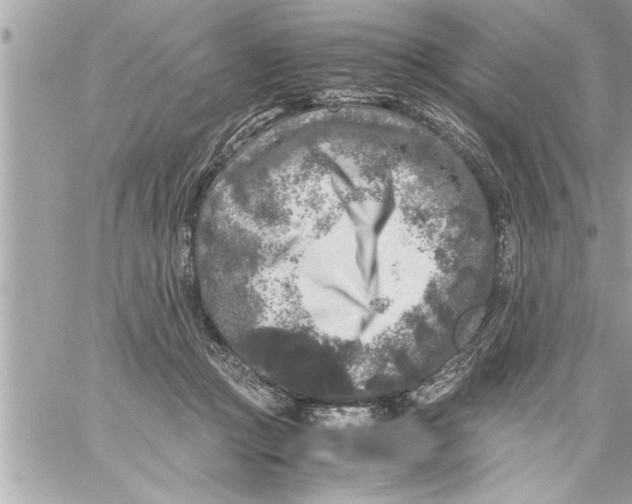 X0000059850361200511111817