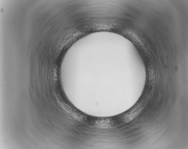 X0000059850362200511111817