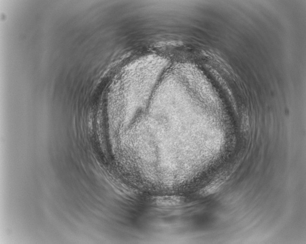 X0000059850363200511111817