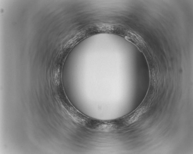 X0000059850364200511111817