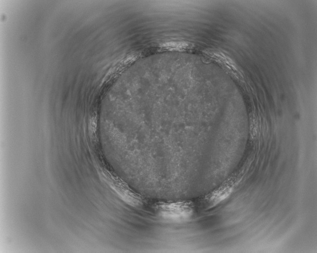 X0000059850365200511111817