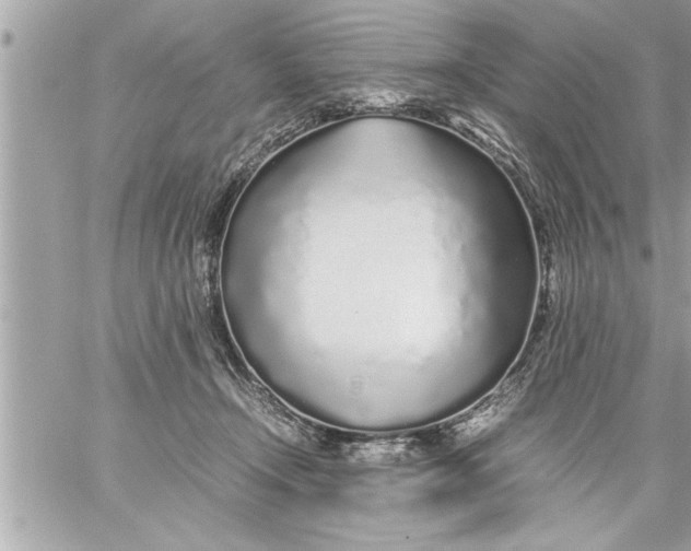 X0000059850366200511111817