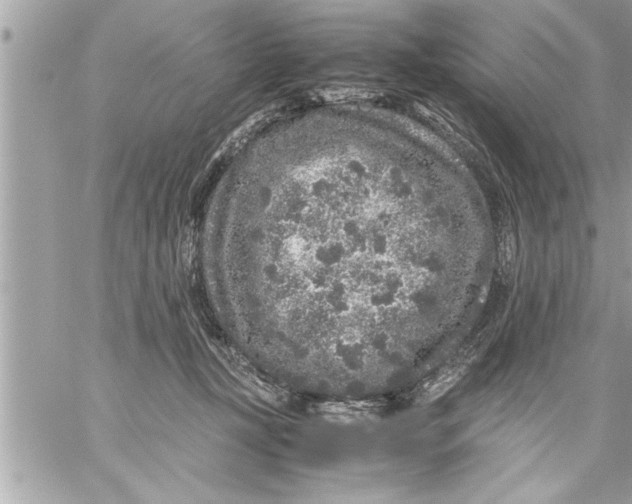 X0000059850367200511111817