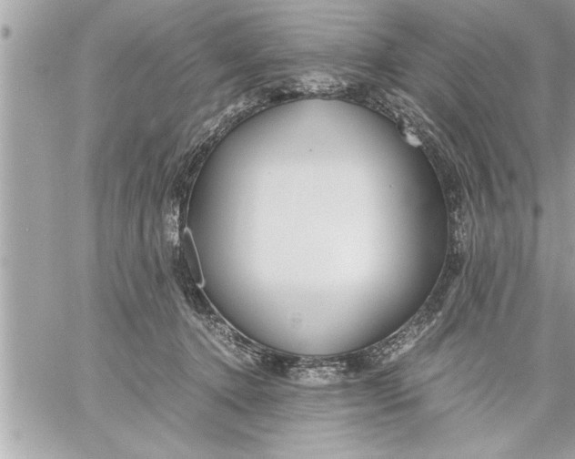 X0000059850368200511111817