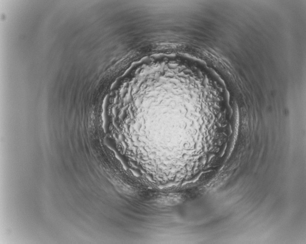 X0000059850369200511111817