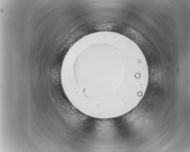 X0000059850370200511111817