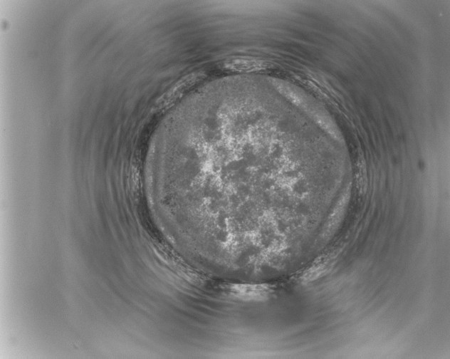 X0000059850371200511111817