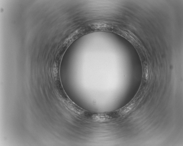 X0000059850372200511111817