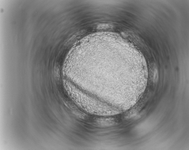 X0000059850375200511111817