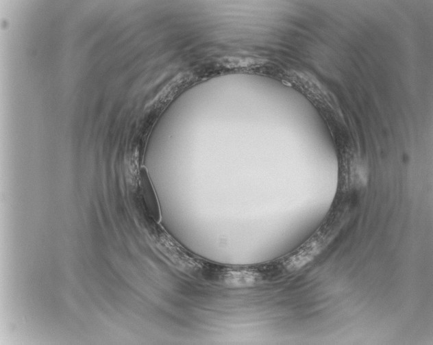 X0000059850376200511111817