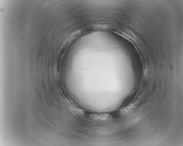 X0000059850377200511111817