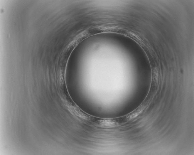 X0000059850380200511111817