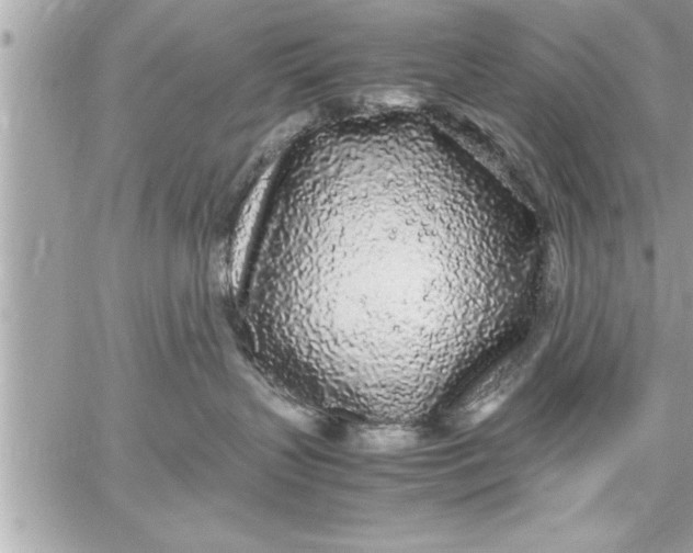 X0000059850383200511111817