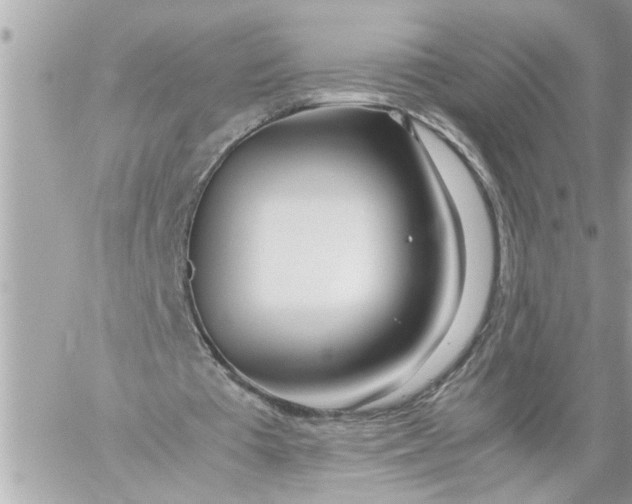 X0000059850385200511111817