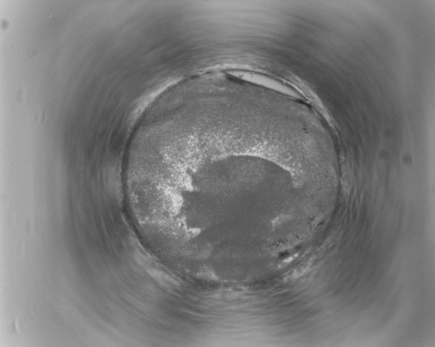 X0000059850386200511111817