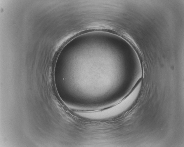 X0000059850387200511111817