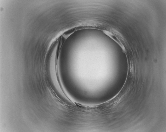 X0000059850388200511111817