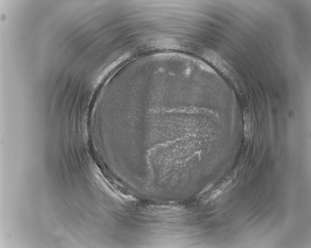 X0000059850390200511111817