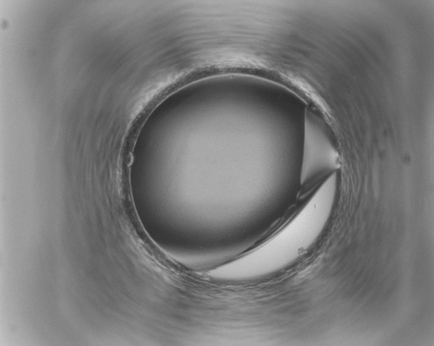 X0000059850391200511111817