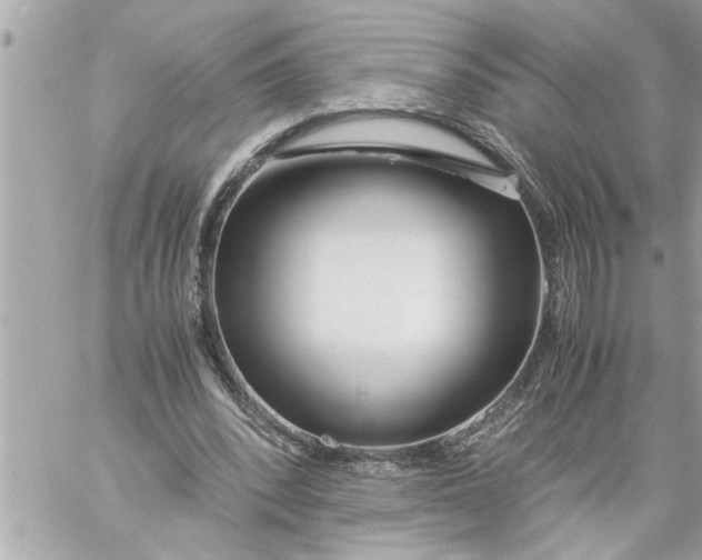 X0000059850392200511111816