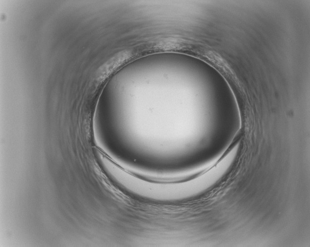 X0000059850393200511111816