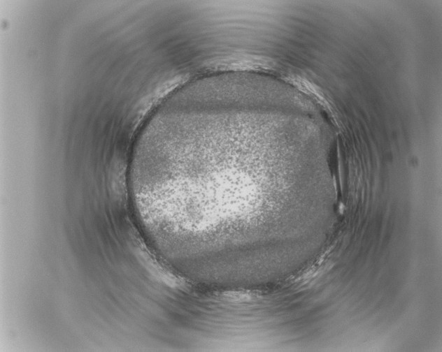 X0000059850394200511111816