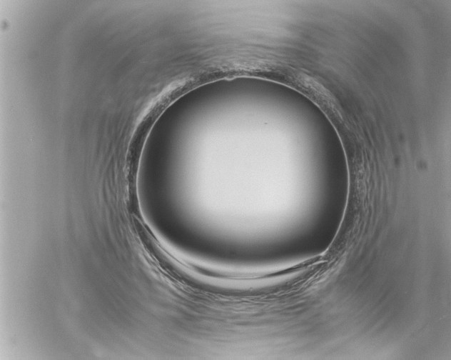 X0000059850395200511111816