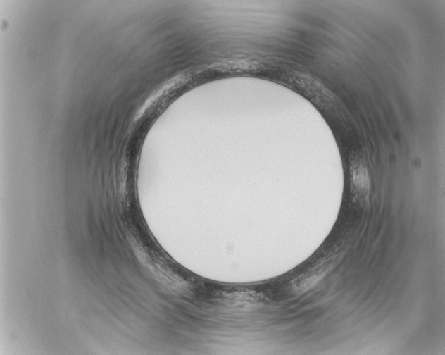 X0000059850396200511111816