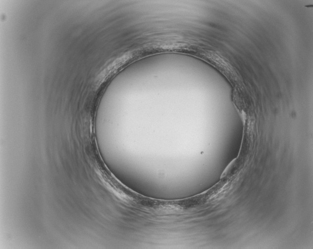 X0000059850397200511111816