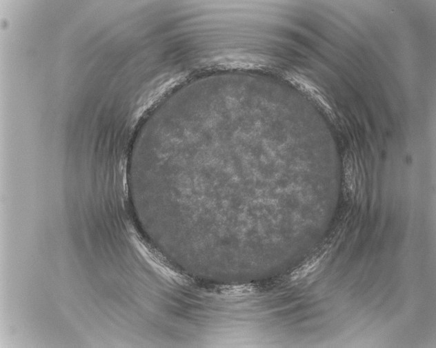 X0000059850398200511111816