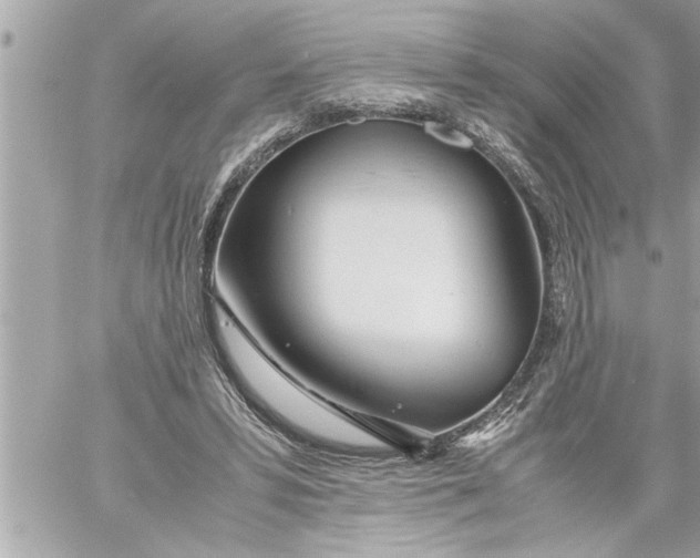 X0000059850399200511111816