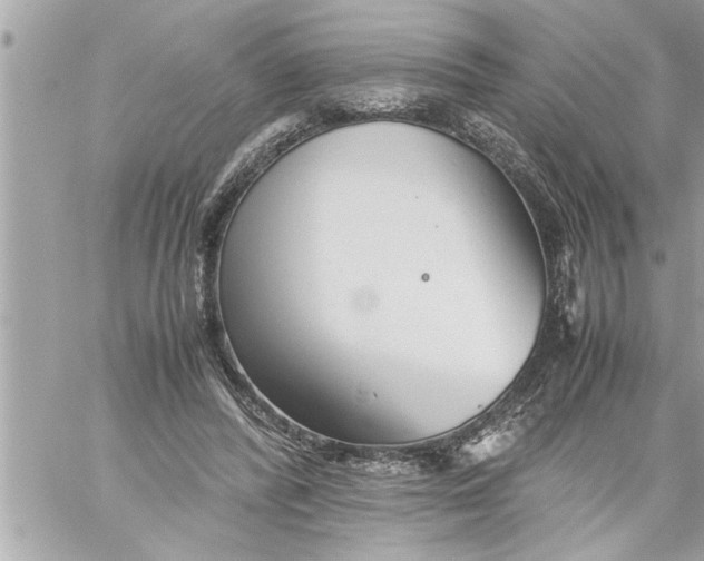 X0000059850400200511111816