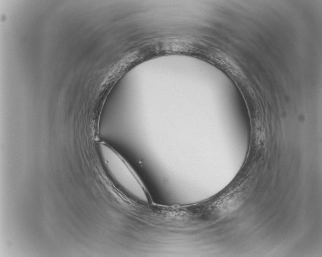 X0000059850401200511111816