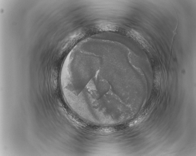 X0000059850402200511111816