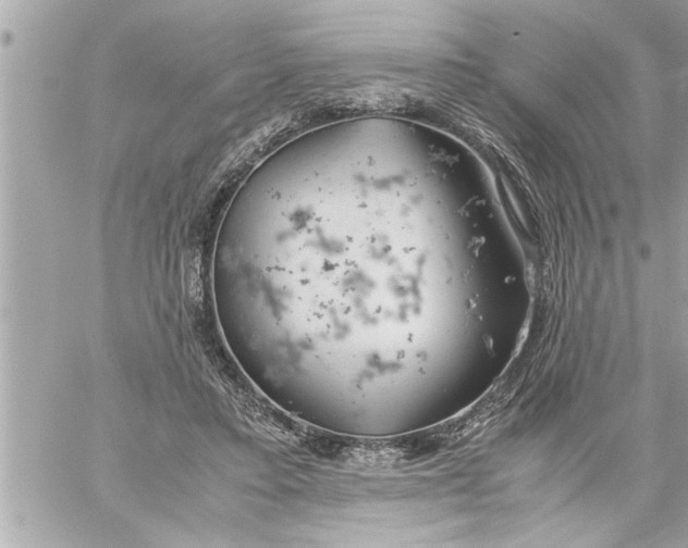 X0000059850403200511111816