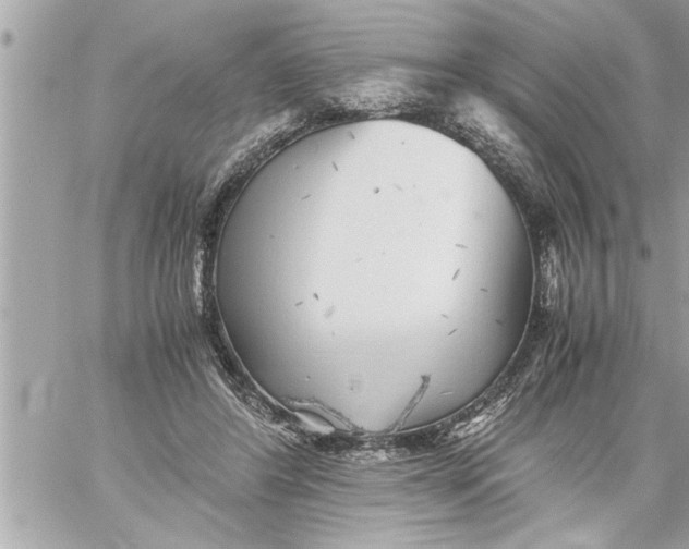 X0000059850404200511111816