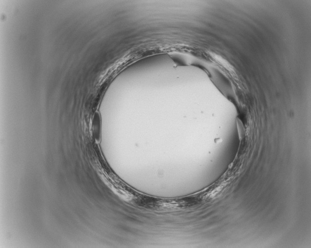 X0000059850405200511111816