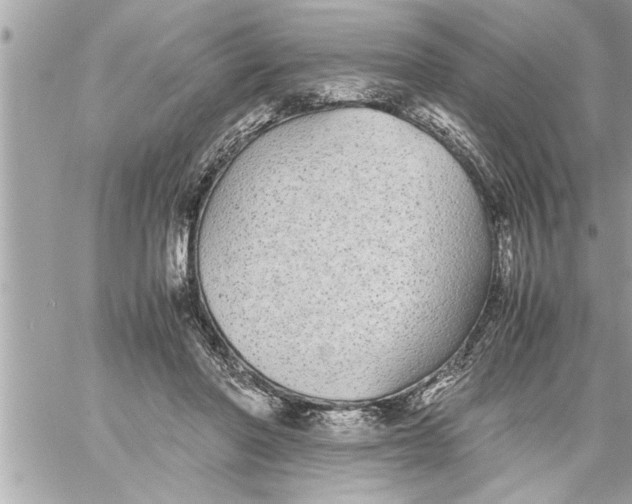 X0000059850406200511111816