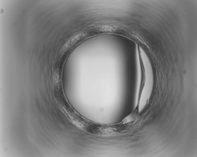 X0000059850407200511111816