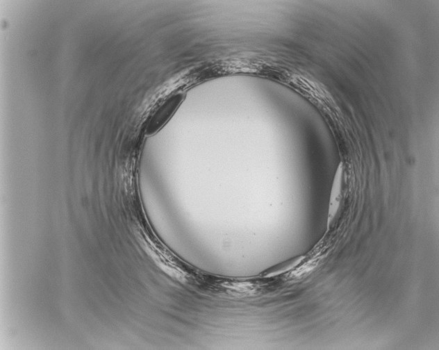 X0000059850409200511111816