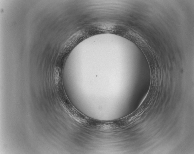 X0000059850412200511111816