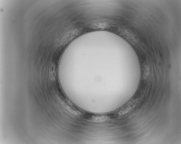 X0000059850414200511111816