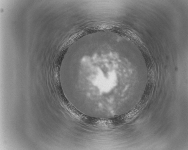 X0000059850415200511111816