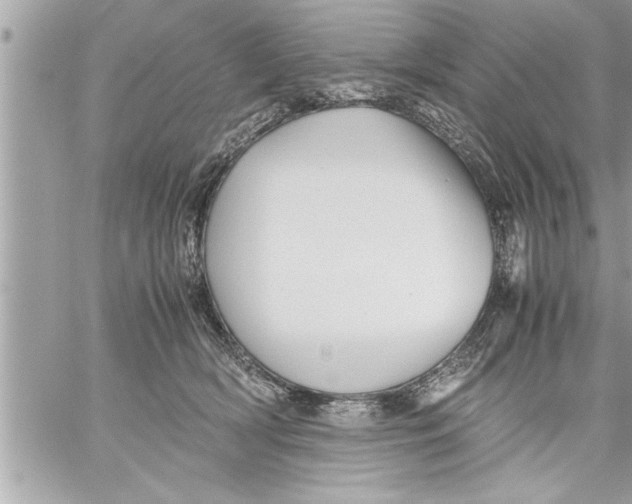 X0000059850418200511111816