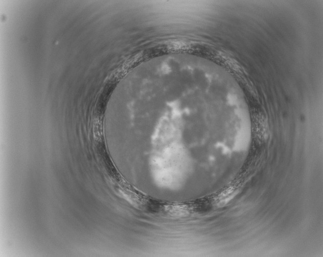 X0000059850419200511111816