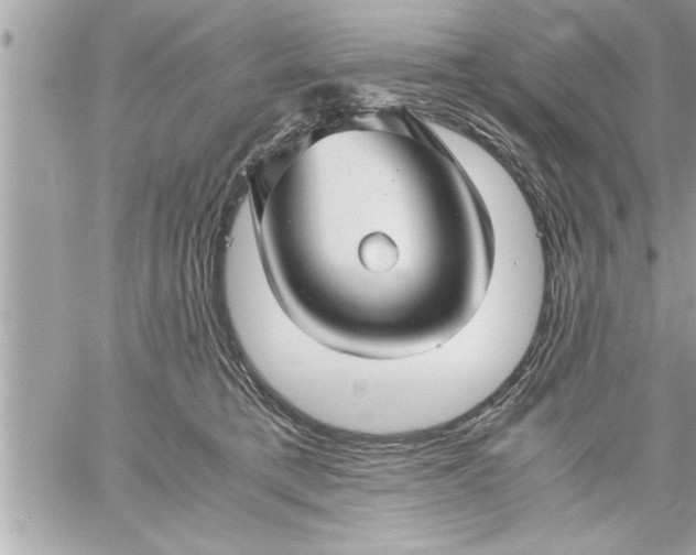 X0000059850421200511111816